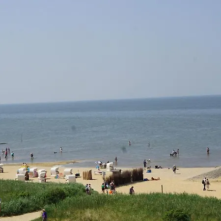 Haus-seehund-16 쿡스하펜